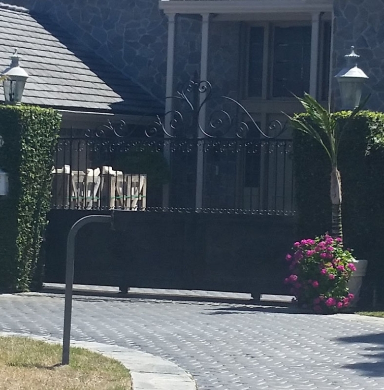 Beverly Hills Gate and Security Pad